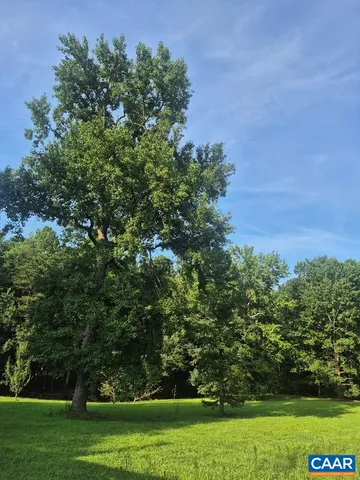 a view of a field with a tree in the background