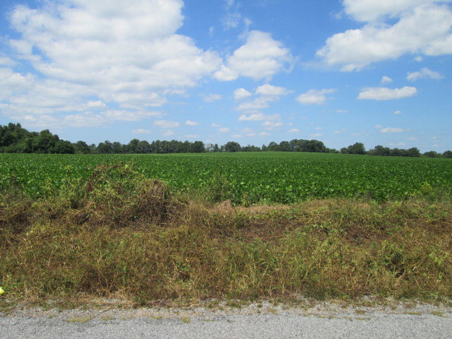 Xxx Bass Road Bassfield, MS 39421 - Photo 1 of 1 Main View