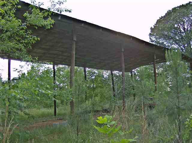 220 Stewart Road Six Mile, SC 29682 - Photo 2 of 5 Gallery Image 2