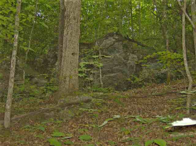 220 Stewart Road Six Mile, SC 29682 - Photo 4 of 5 Gallery Image 4