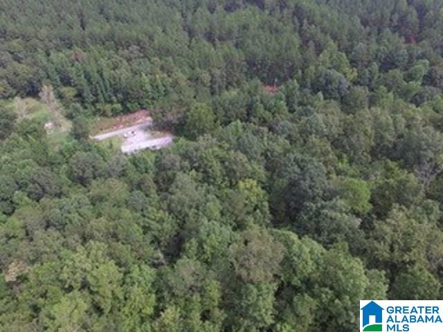 1980 Dripping Rock Road, Unit 20 50 AC Piedmont, AL 36272 - Photo 2 of 19