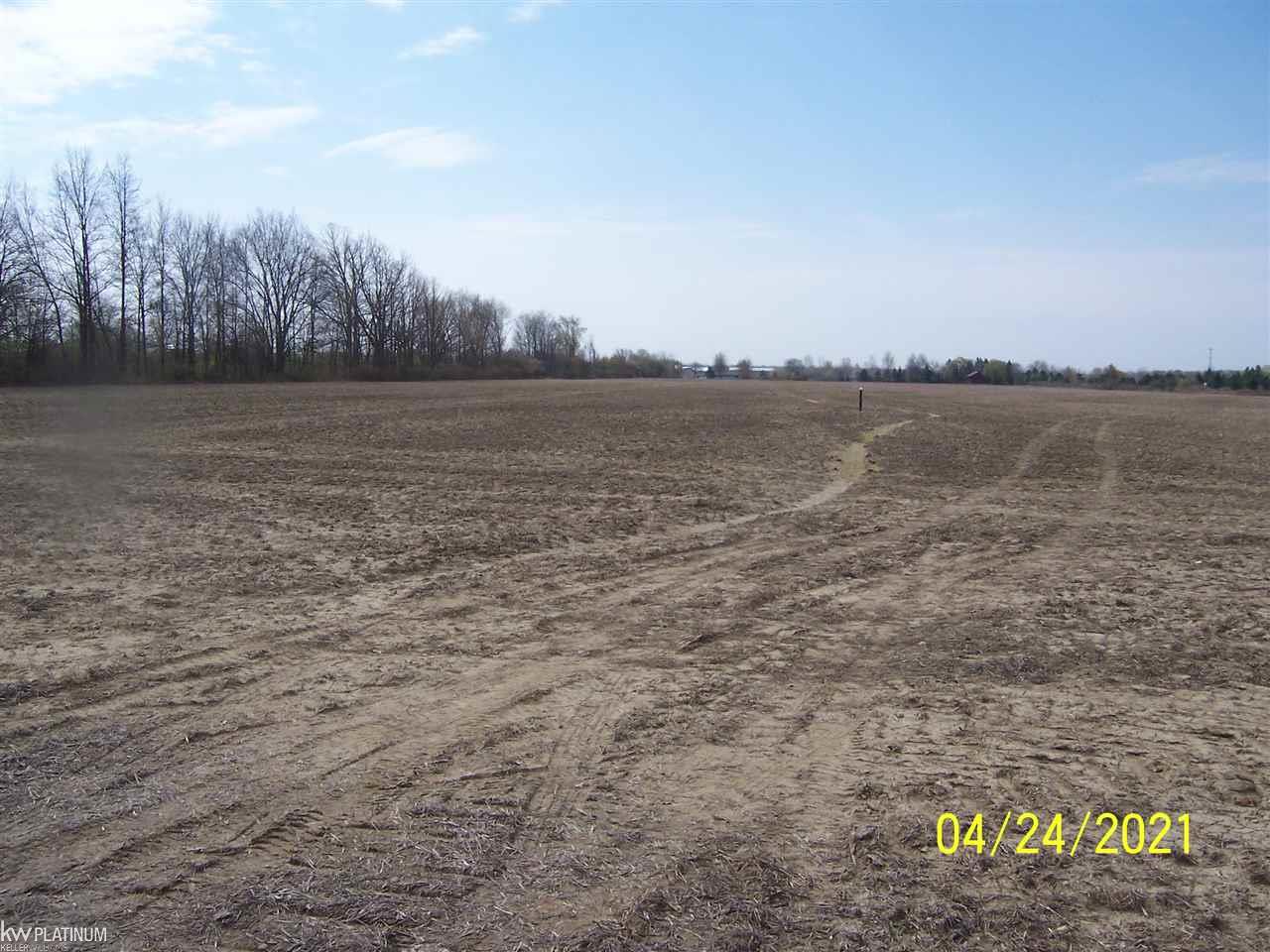 Lambs Road Memphis, MI 48041 - Photo 2 of 2