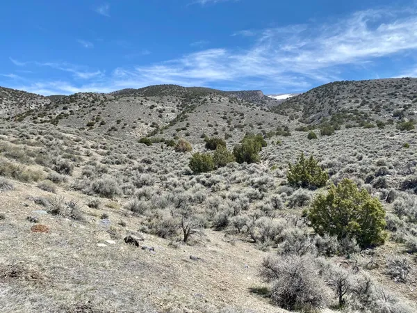 $30,000 | 25200 Ramsey Road, Unit 37, Imlay, NV 89418