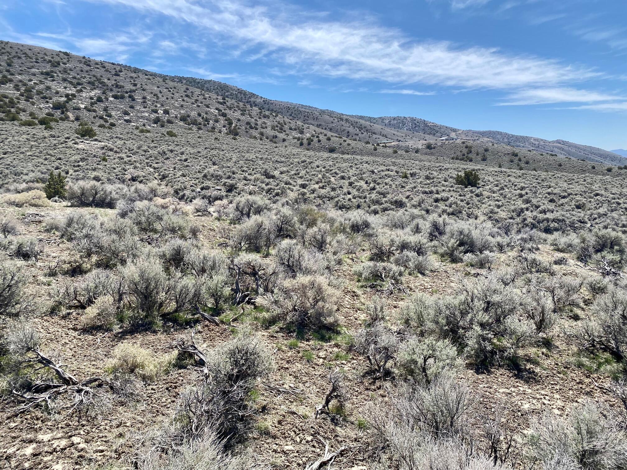 25200 Ramsey Road, Unit 37 Imlay, NV 89418 - Photo 5 of 19 a view of a large building
