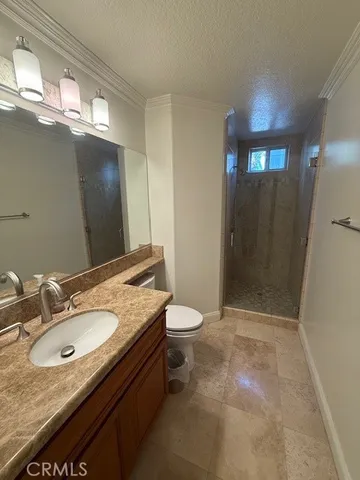 a view of a backyard with large trees and plants