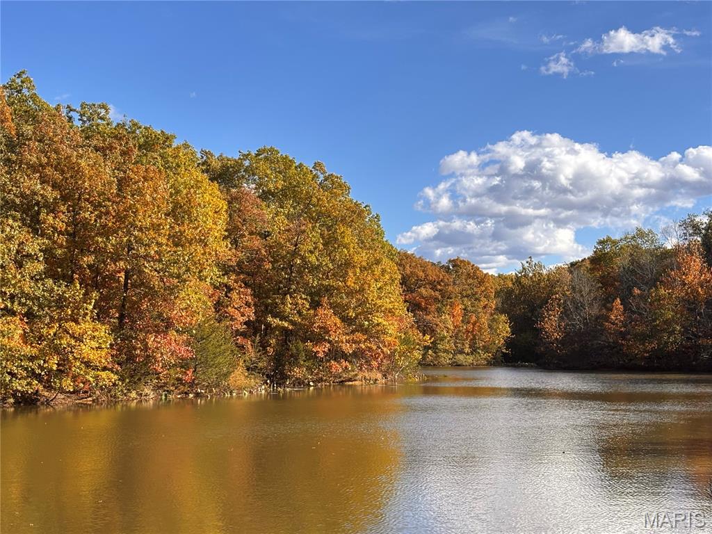 95-acres State Rte AA Wright City, MO 63390 - Photo 3 of 8