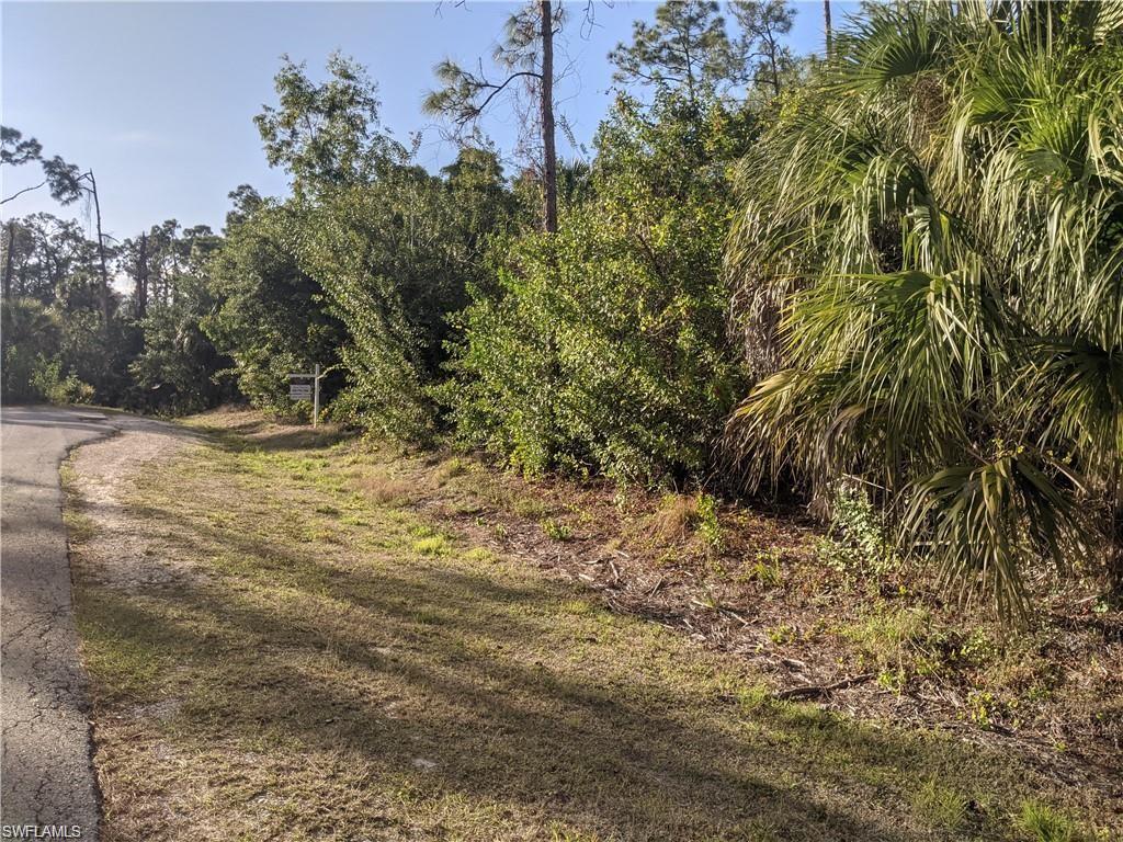 4751 1st Avenue Southwest Naples, FL 34119 - Photo 3 of 6 a view of a yard with plants and trees