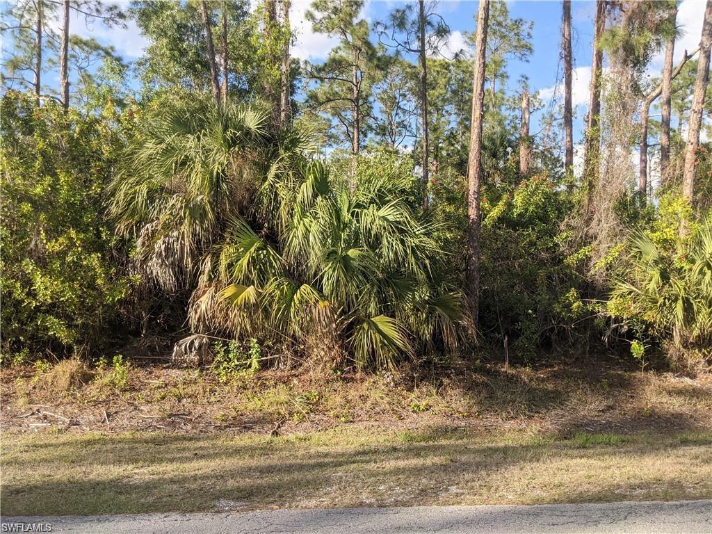 4751 1st Avenue Southwest Naples, FL 34119 - Photo 6 of 6 a view of a yard