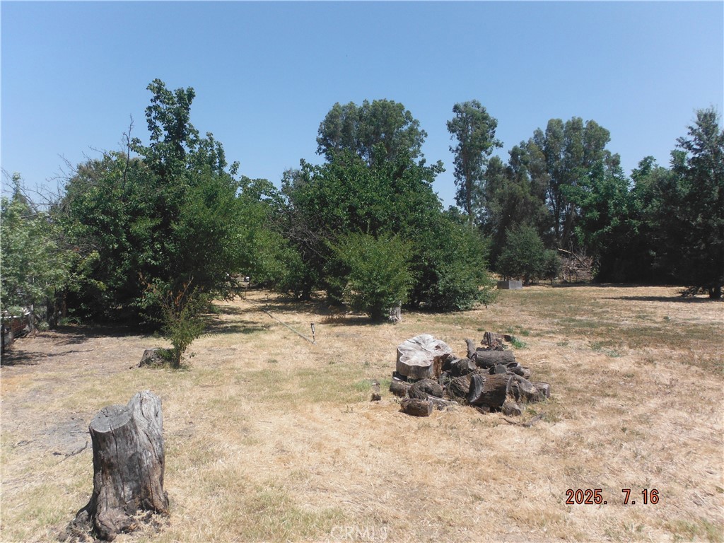 23210 Flournoy Avenue Corning, CA 96021 - Photo 26 of 38