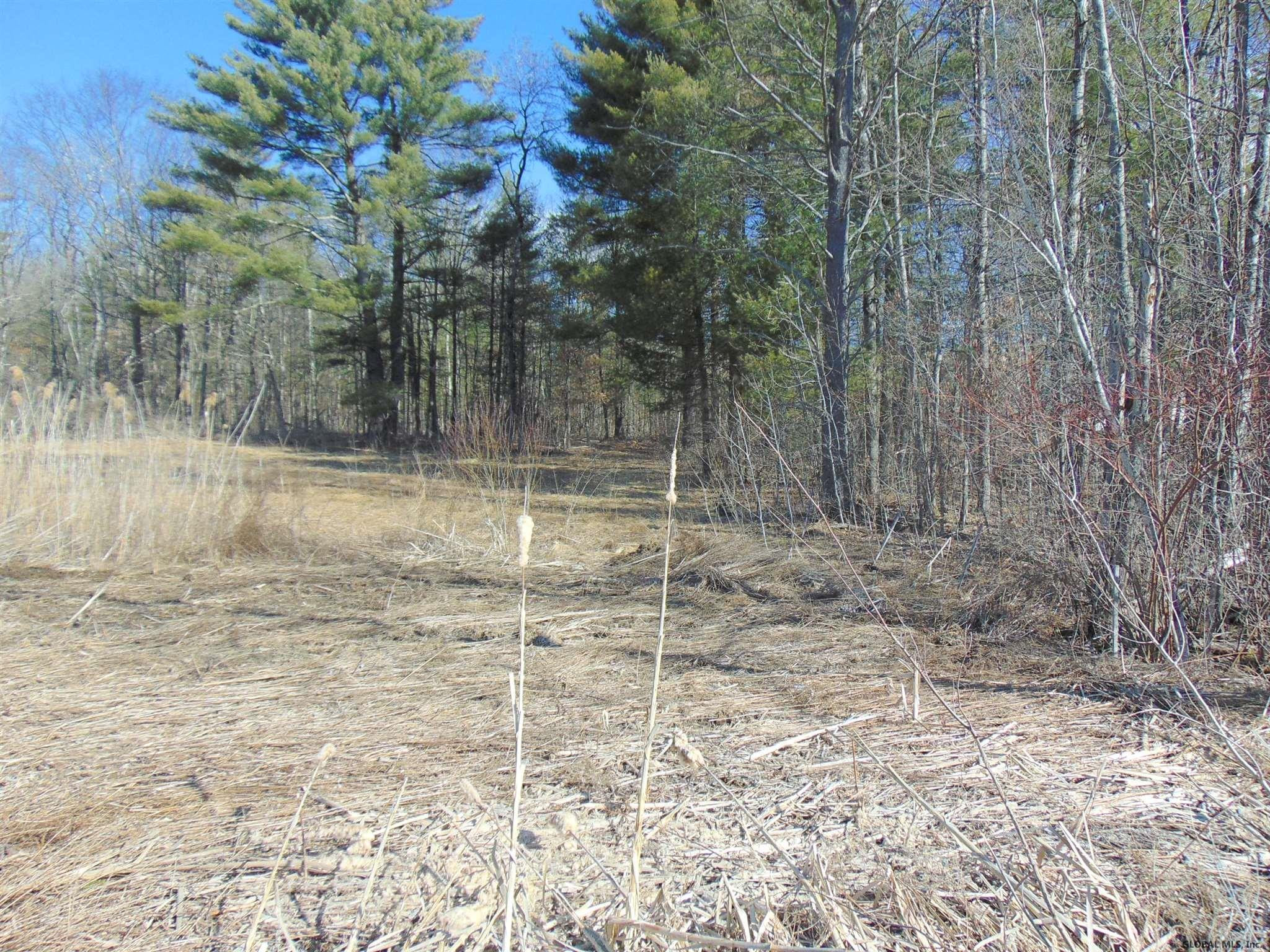 18 Collamer Road Ballston Spa, NY 12020 - Photo 1 of 12 Photo 1