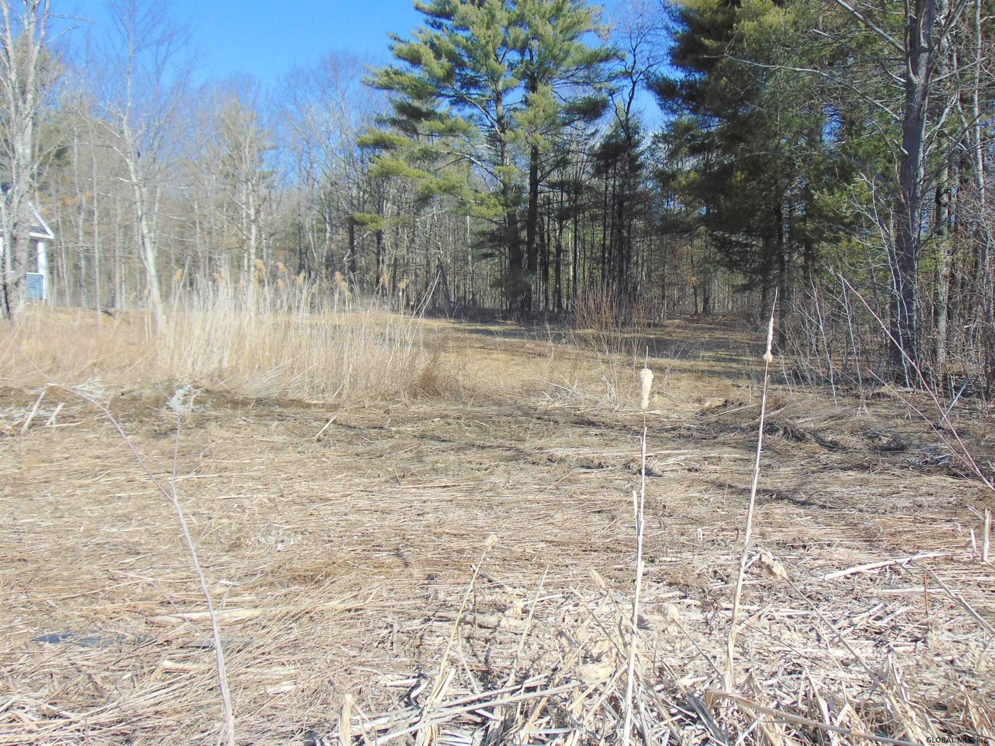 18 Collamer Road Ballston Spa, NY 12020 - Photo 2 of 12 Photo 7