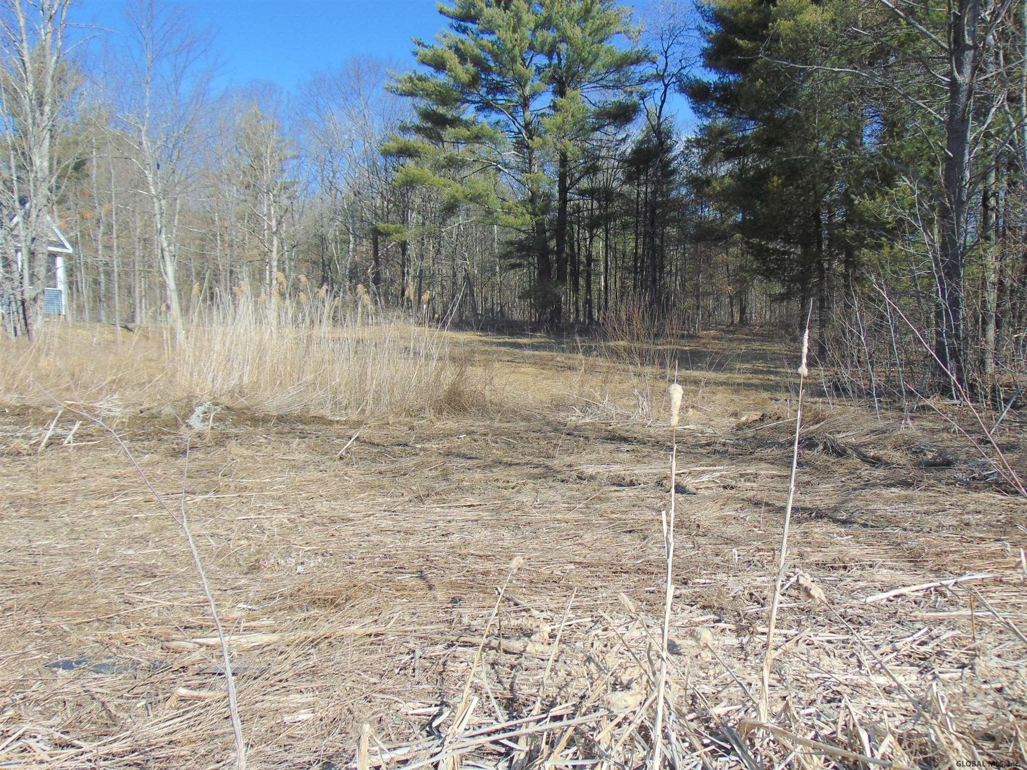 18 Collamer Road Ballston Spa, NY 12020 - Photo 3 of 12 Photo 8