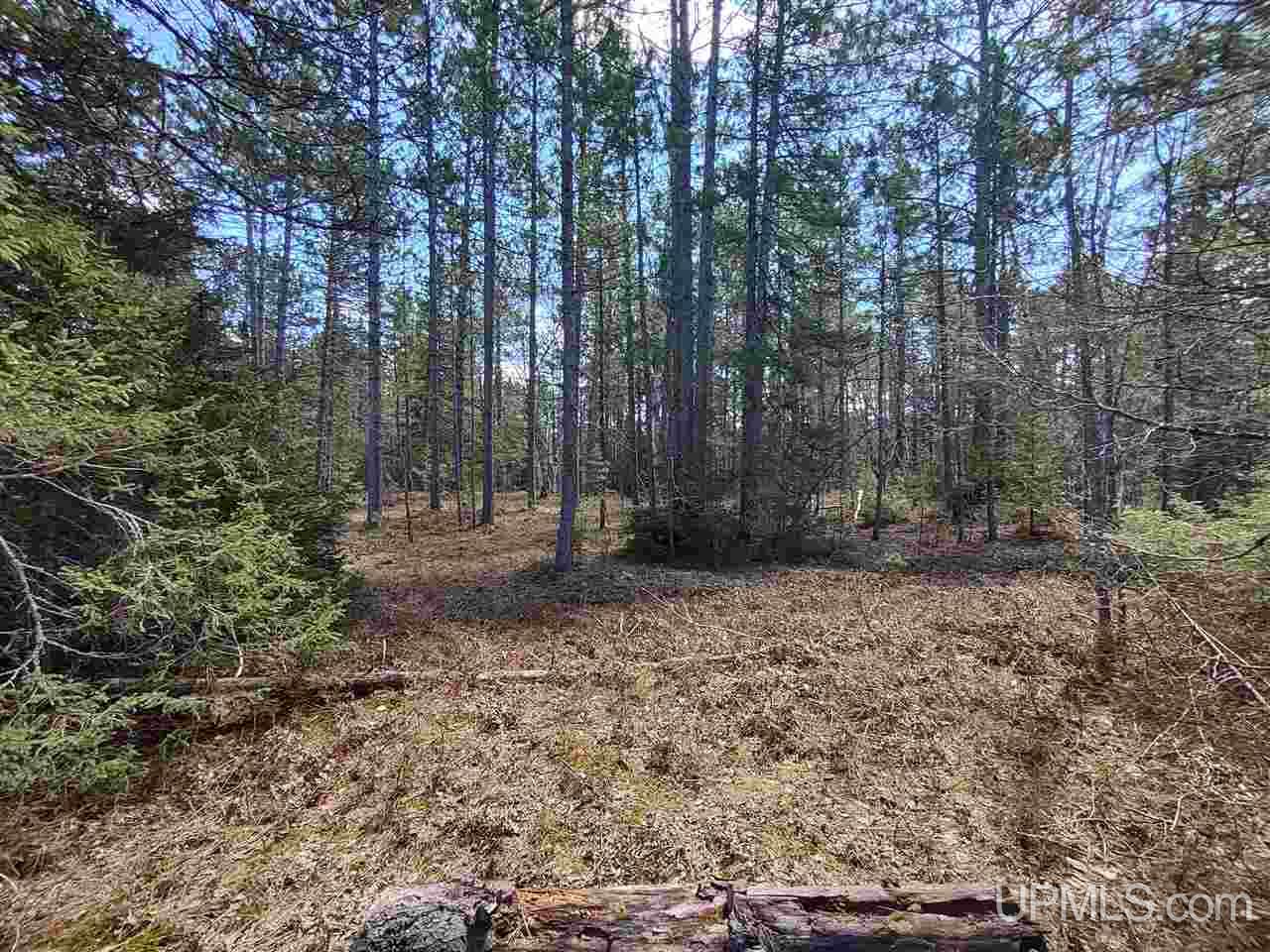 60 Little Rice Lk Road Lake Linden, MI 49945 - Photo 4 of 22