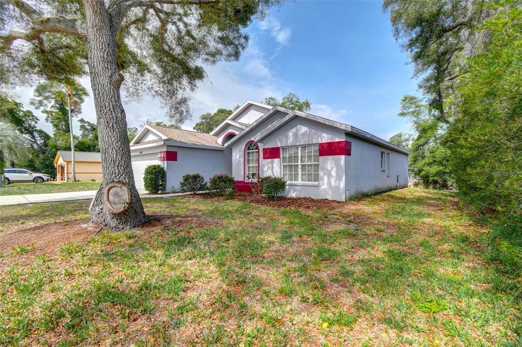 5085 Plumosa Street Spring Hill, FL 34607 - Photo 3 of 33