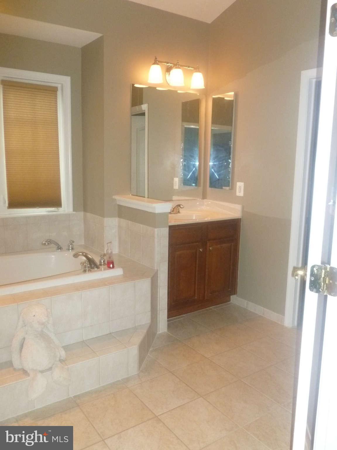24822 Serpentine Place Stone Ridge, VA 20105 - Photo 22 of 29 a bathroom with a tub sink and mirror