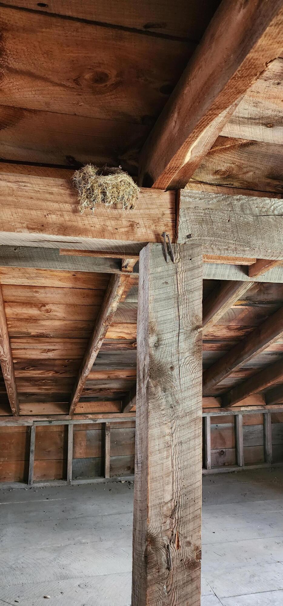 311 Stackpole Road Durham, ME 04222 - Photo 40 of 62 20230801_124540