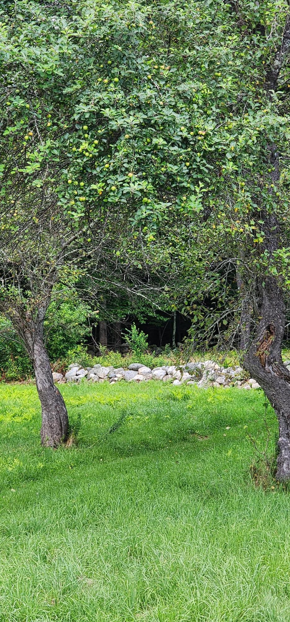 311 Stackpole Road Durham, ME 04222 - Photo 55 of 62 20230801_125812