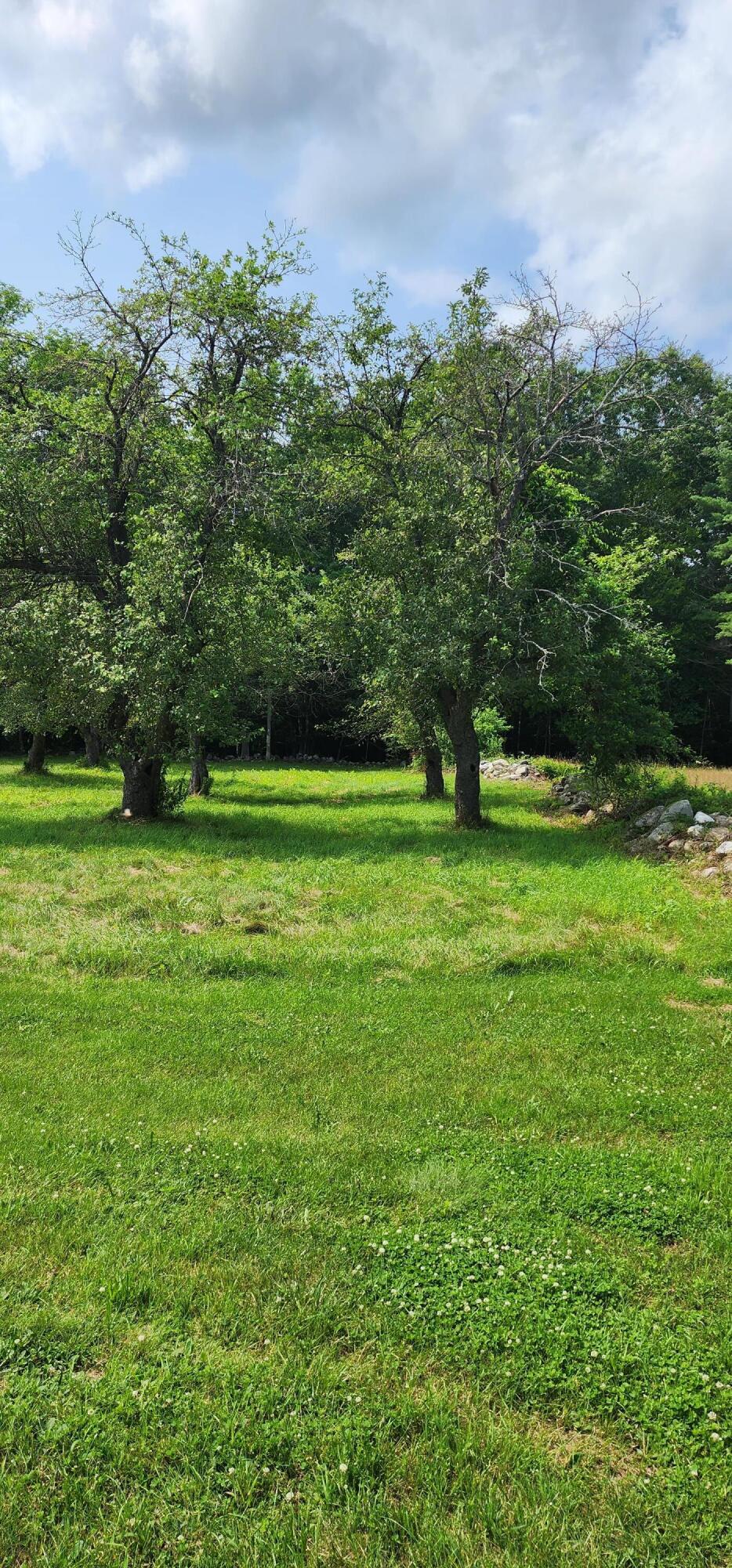 311 Stackpole Road Durham, ME 04222 - Photo 57 of 62 20230717_145427