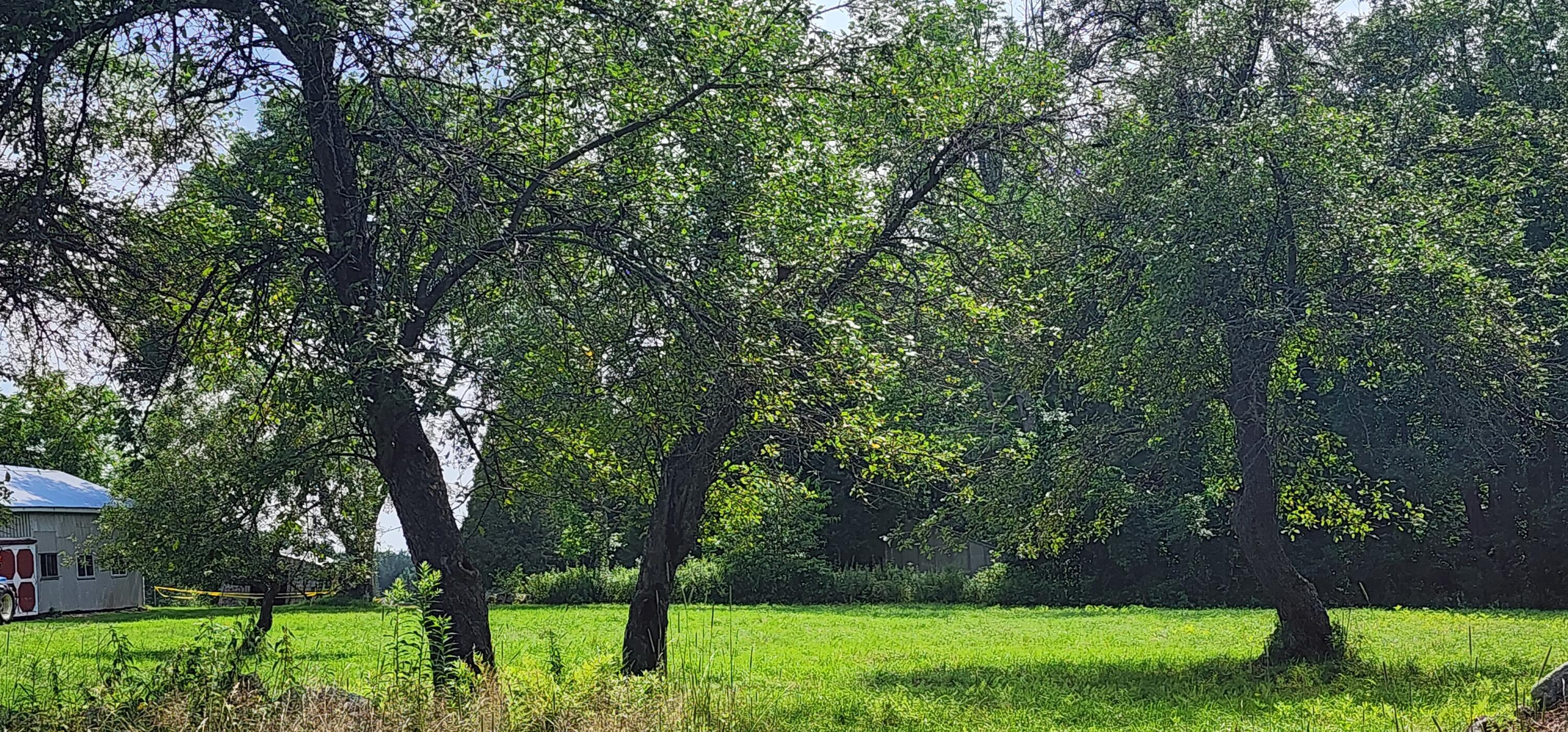 311 Stackpole Road Durham, ME 04222 - Photo 58 of 62 20230717_150414