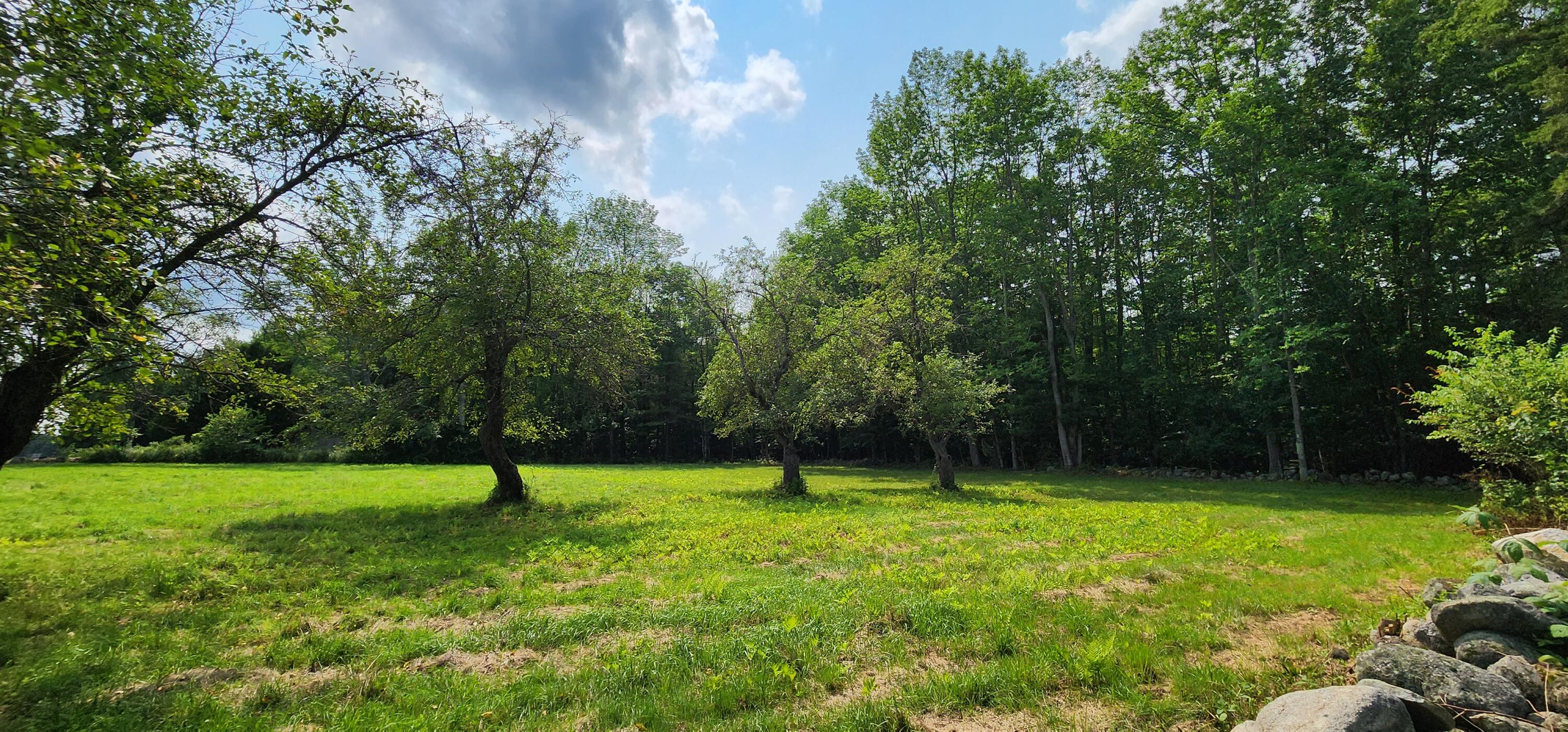 311 Stackpole Road Durham, ME 04222 - Photo 59 of 62 20230717_150634