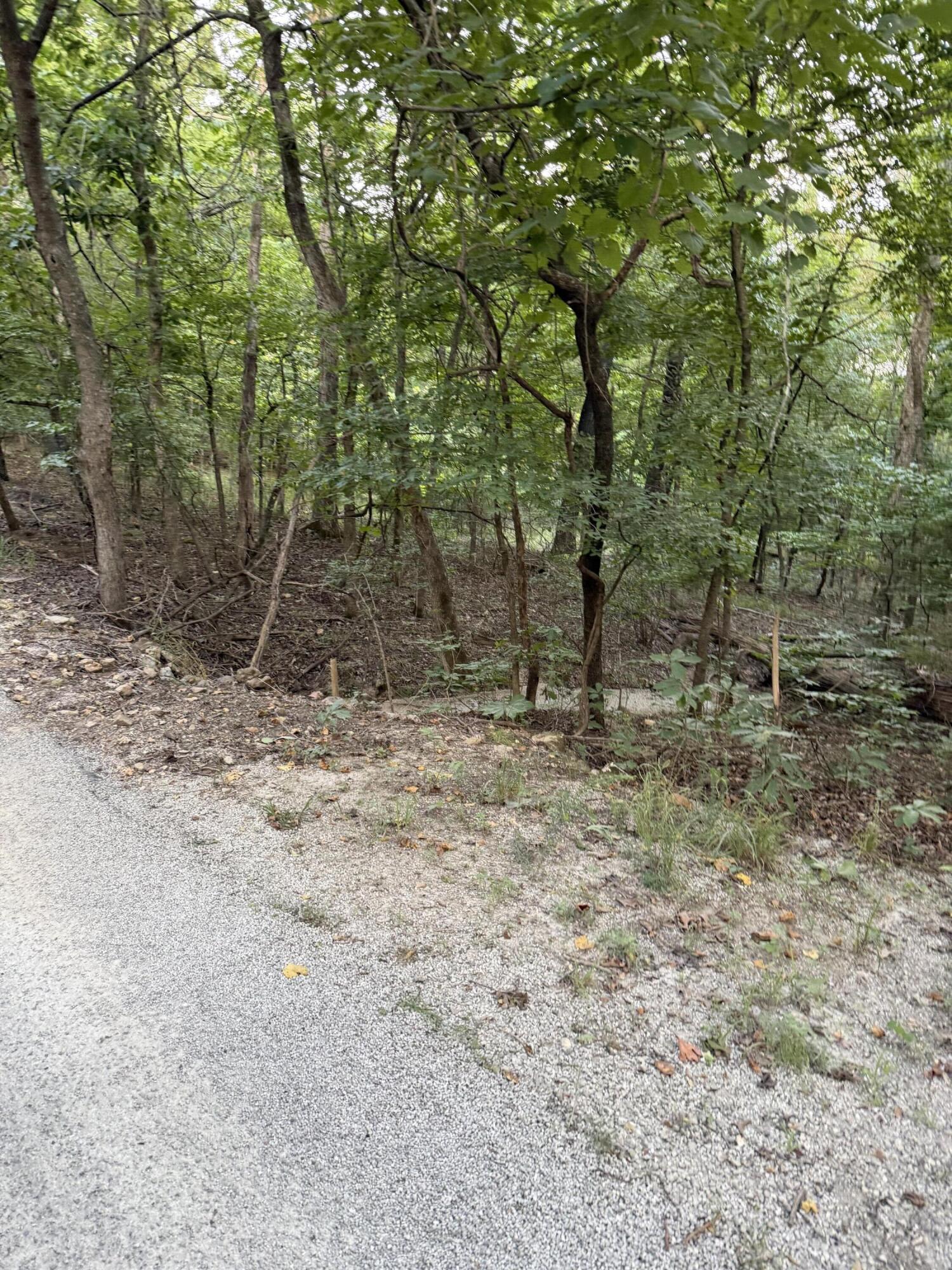 Tbd Chiefs Lane Shell Knob, MO 65747 - Photo 2 of 5 Road View