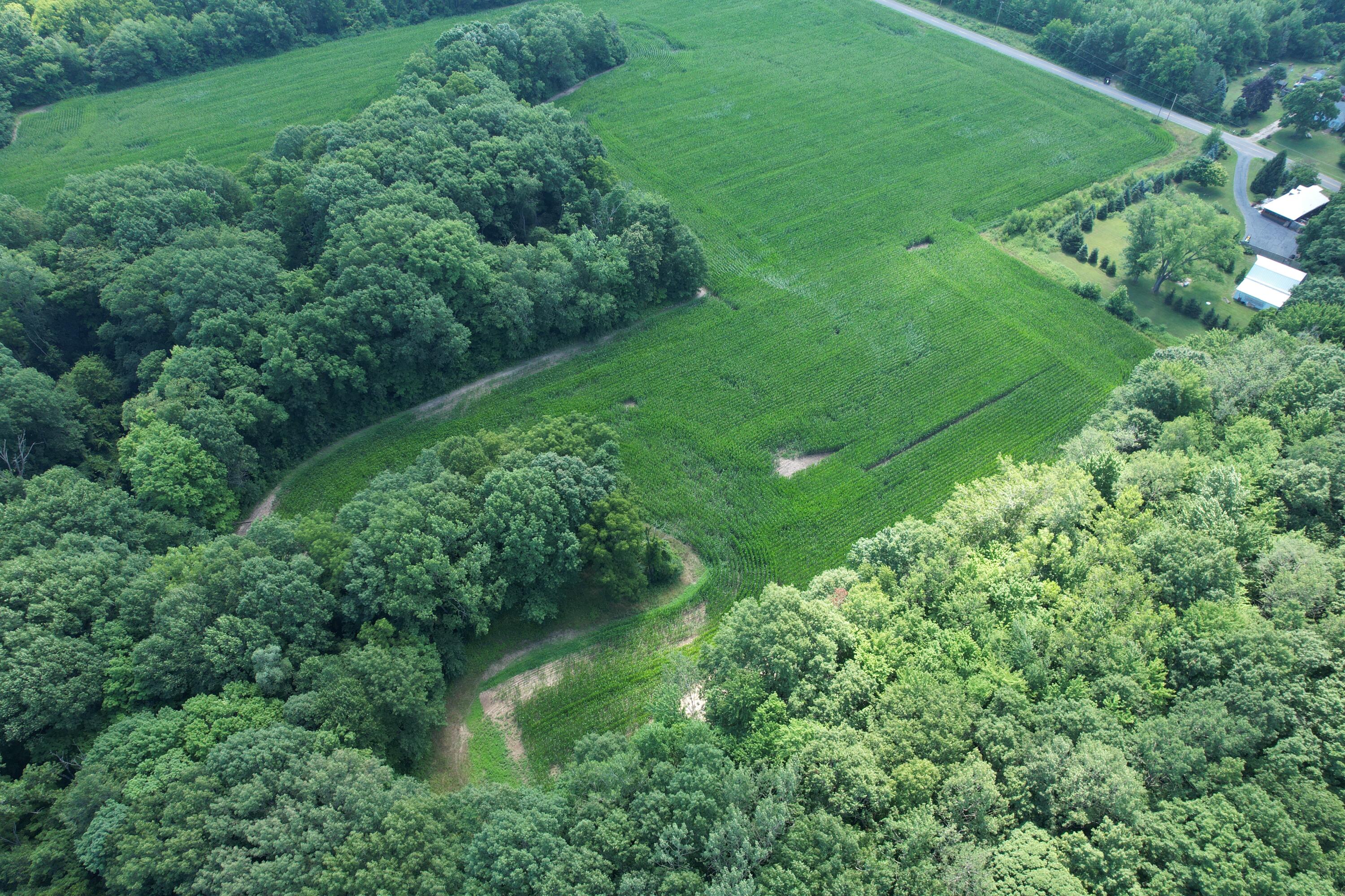 8499 Kruger Road Three Oaks, MI 49128 - Photo 5 of 11 DJI_0464