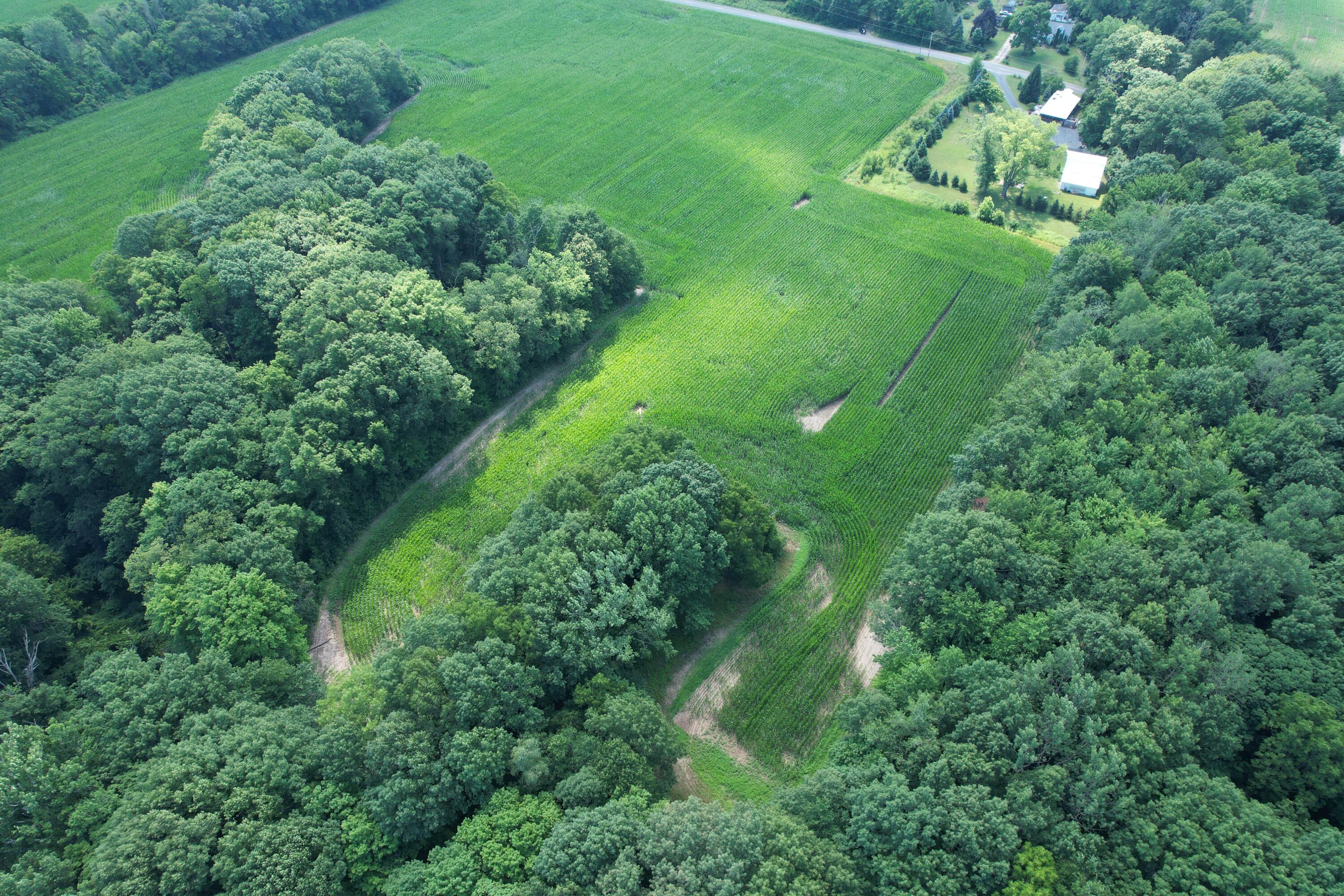 8499 Kruger Road Three Oaks, MI 49128 - Photo 6 of 11 DJI_0465