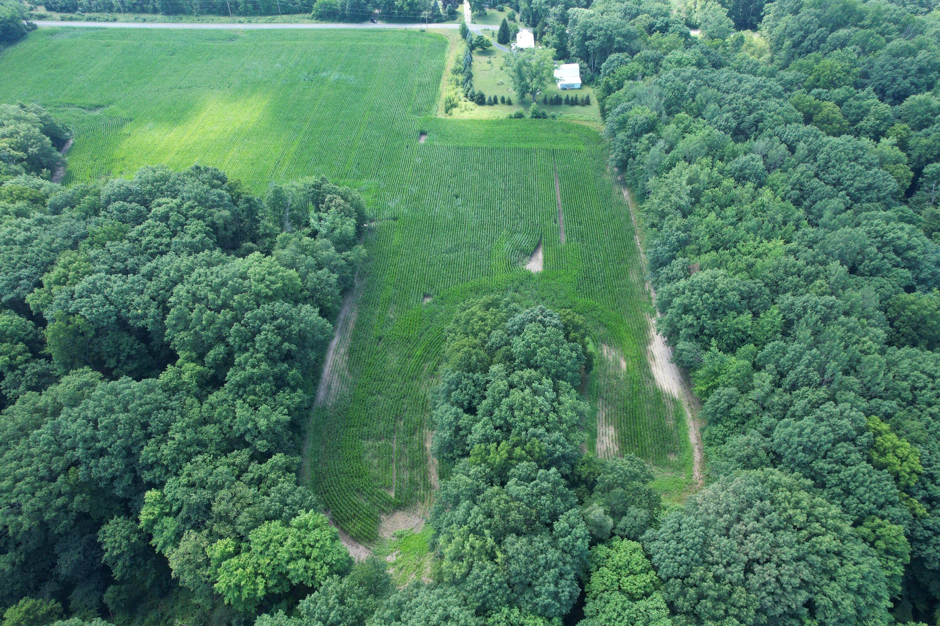8499 Kruger Road Three Oaks, MI 49128 - Photo 7 of 11 DJI_0466