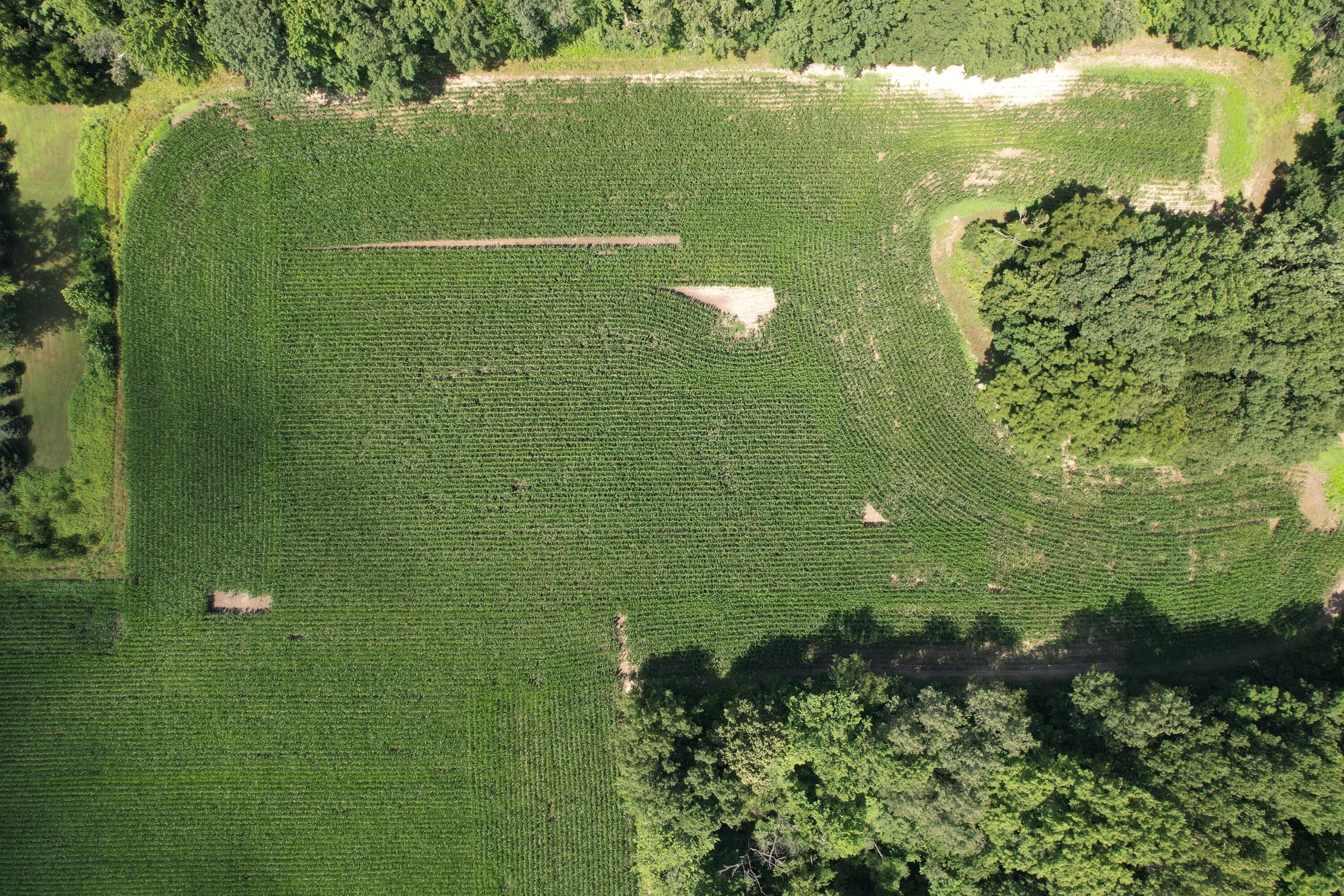 8499 Kruger Road Three Oaks, MI 49128 - Photo 8 of 11 DJI_0481