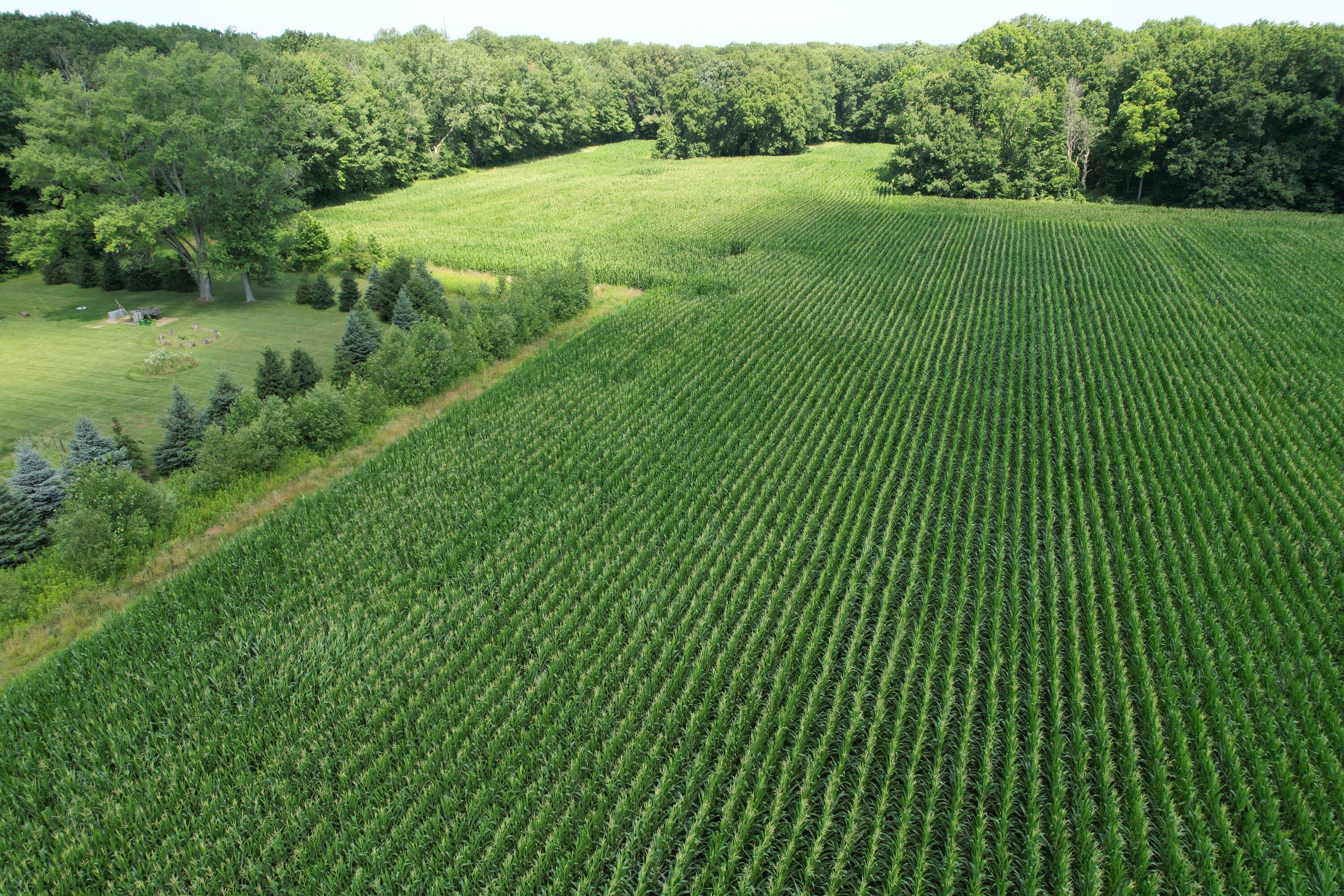 8499 Kruger Road Three Oaks, MI 49128 - Photo 9 of 11 DJI_0484