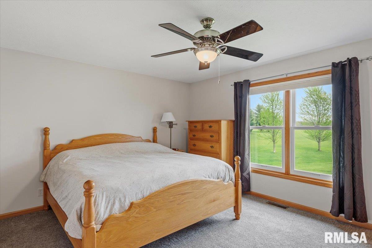 16410 Turkey Run Street Athens, IL 62613 - Photo 16 of 46