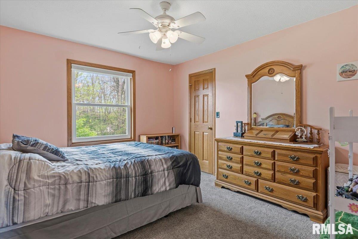 16410 Turkey Run Street Athens, IL 62613 - Photo 20 of 46