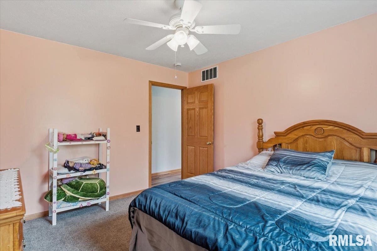 16410 Turkey Run Street Athens, IL 62613 - Photo 21 of 46