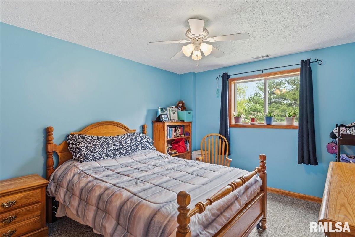 16410 Turkey Run Street Athens, IL 62613 - Photo 28 of 46