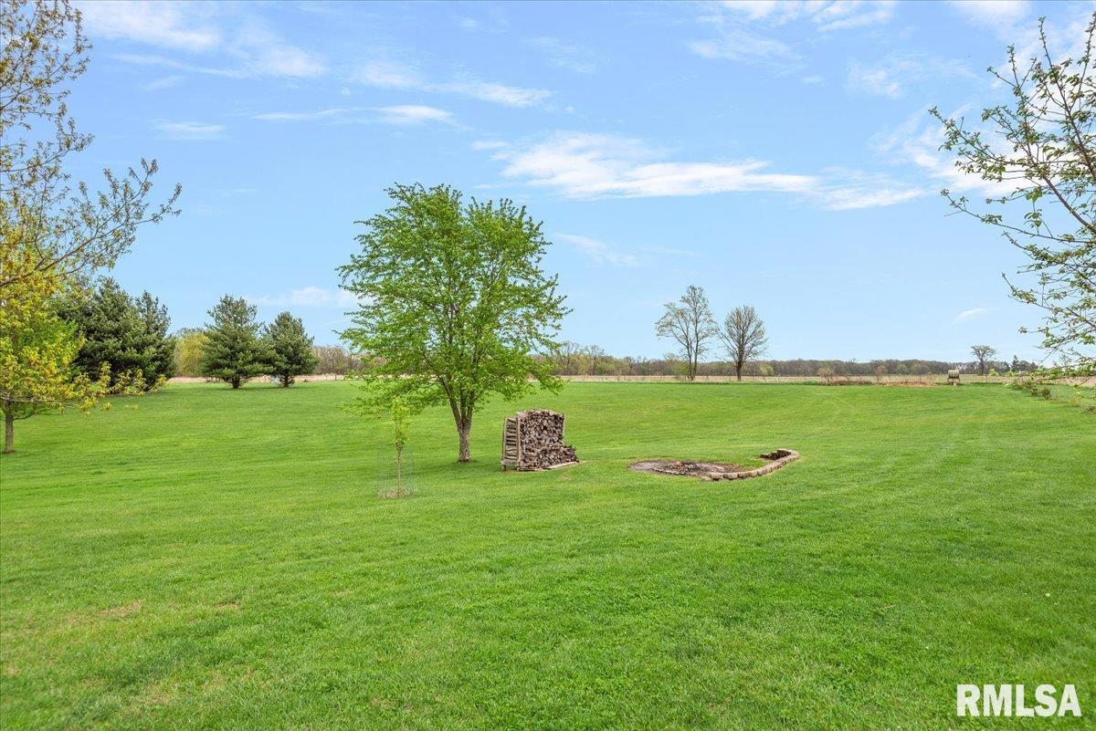 16410 Turkey Run Street Athens, IL 62613 - Photo 39 of 46