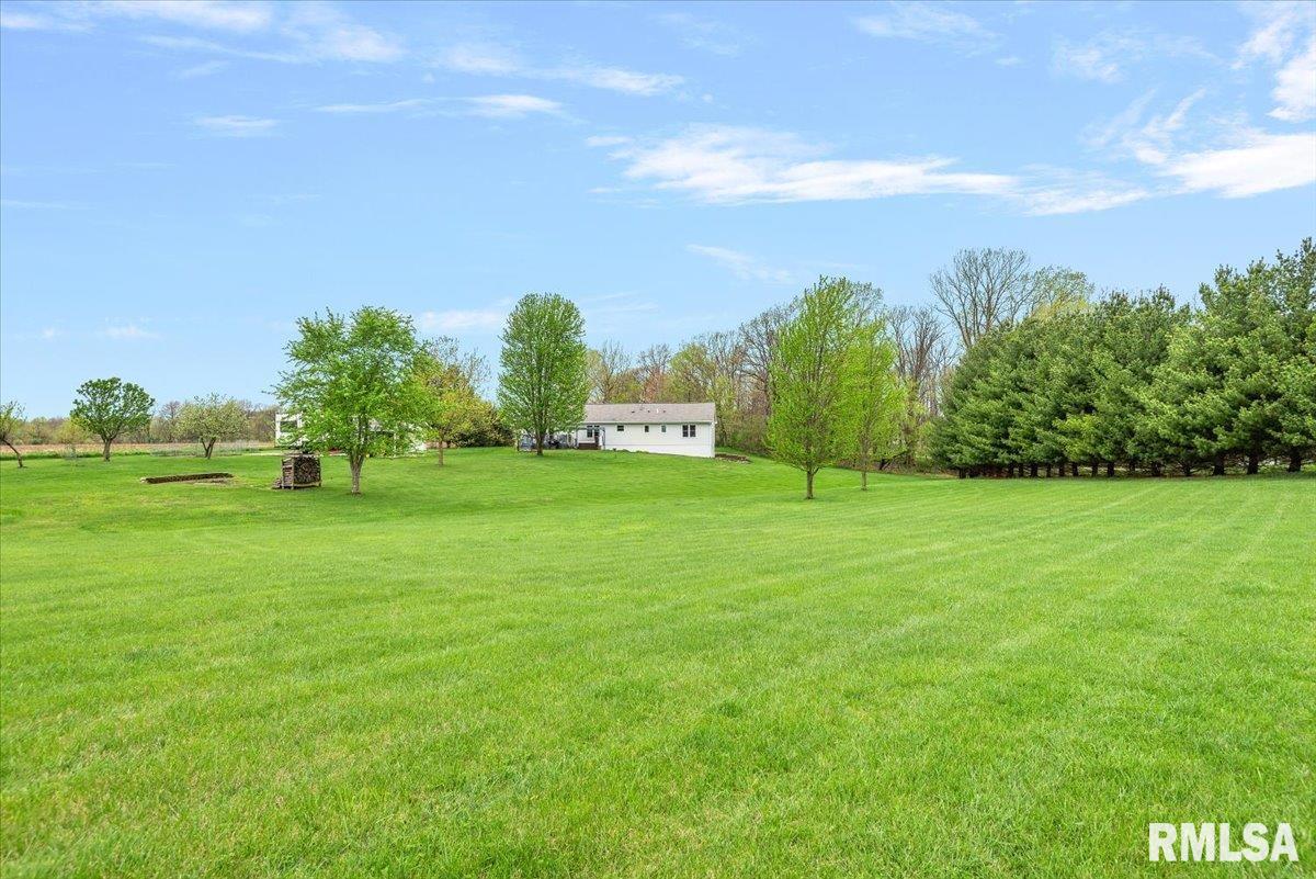 16410 Turkey Run Street Athens, IL 62613 - Photo 40 of 46