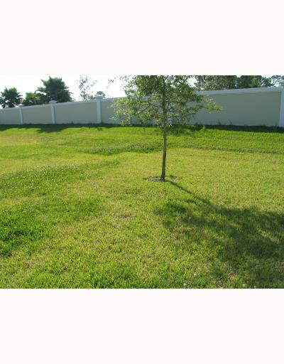 755 Southwest River Bend Circle Stuart, FL 34997 - Photo 3 of 8 a view of a field with an outdoor space