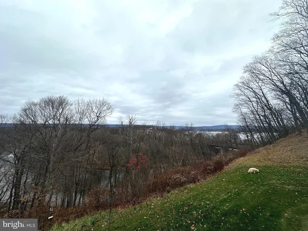a view of a yard and mountain