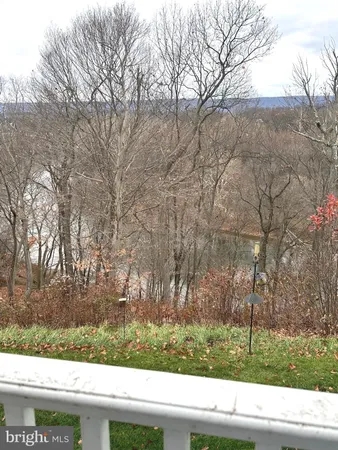 a view of a yard from a window