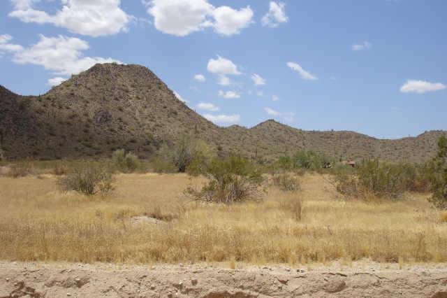 0 West Quail Run Road, Unit D Maricopa, AZ 85139 - Photo 1 of 3 Primary Photo