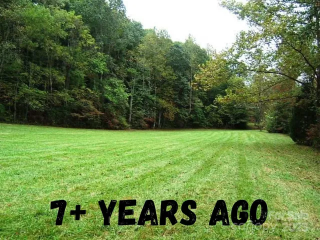 a view of garden with tree