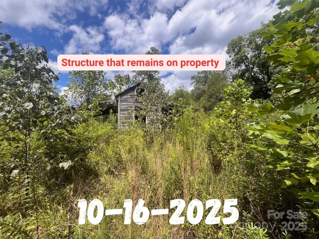 a view of a area with lots of trees