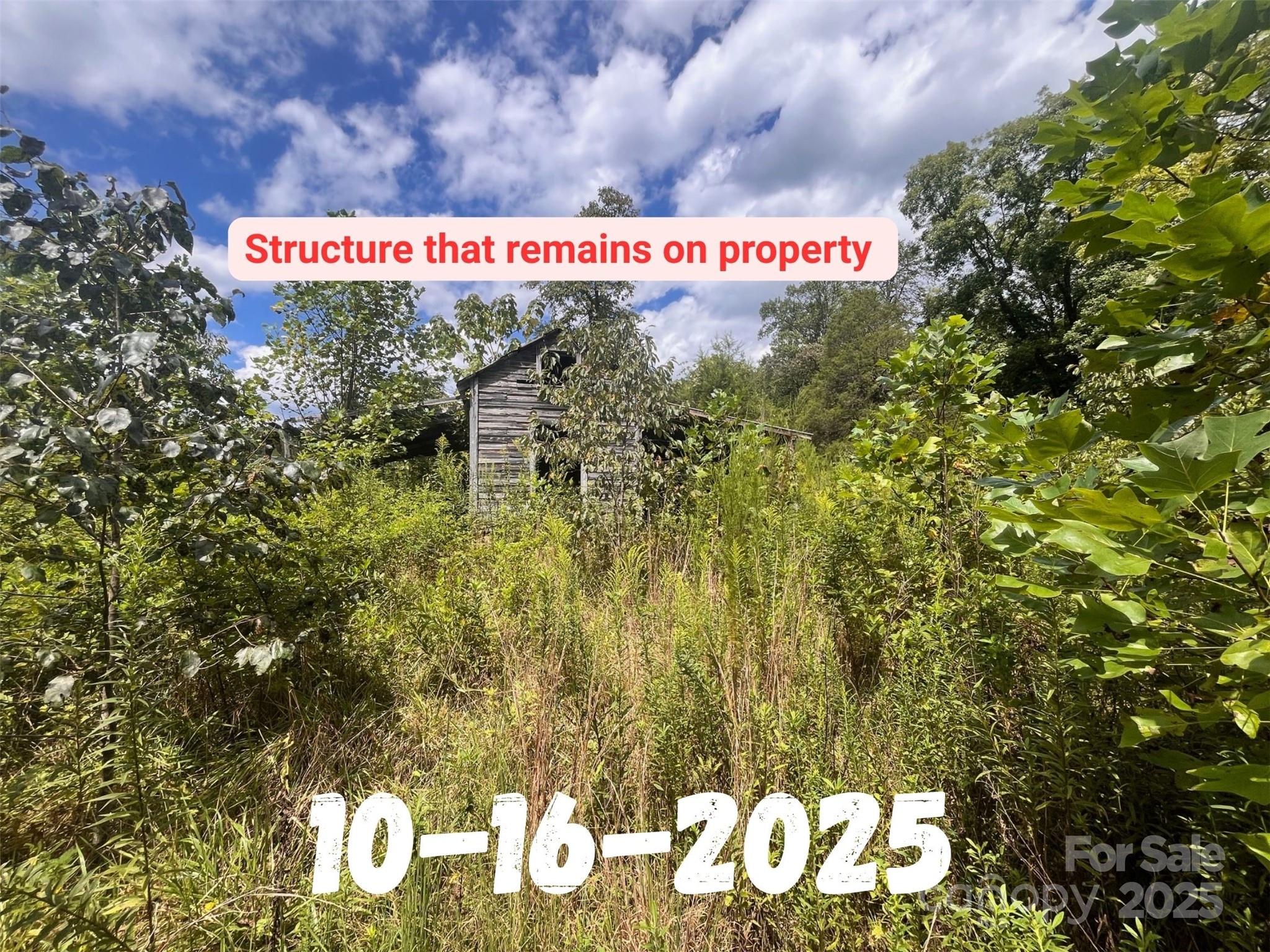 8361 Old Fort Sugar Hill Road Marion, NC 28752 - Photo 13 of 20