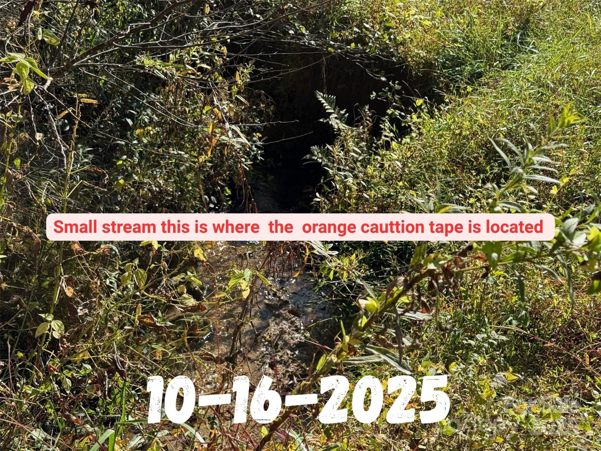 8361 Old Fort Sugar Hill Road Marion, NC 28752 - Photo 14 of 20