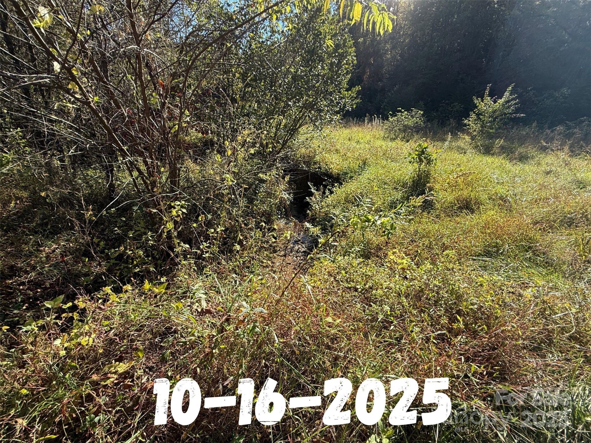 8361 Old Fort Sugar Hill Road Marion, NC 28752 - Photo 16 of 20 a view of a bunch of flowers and tree