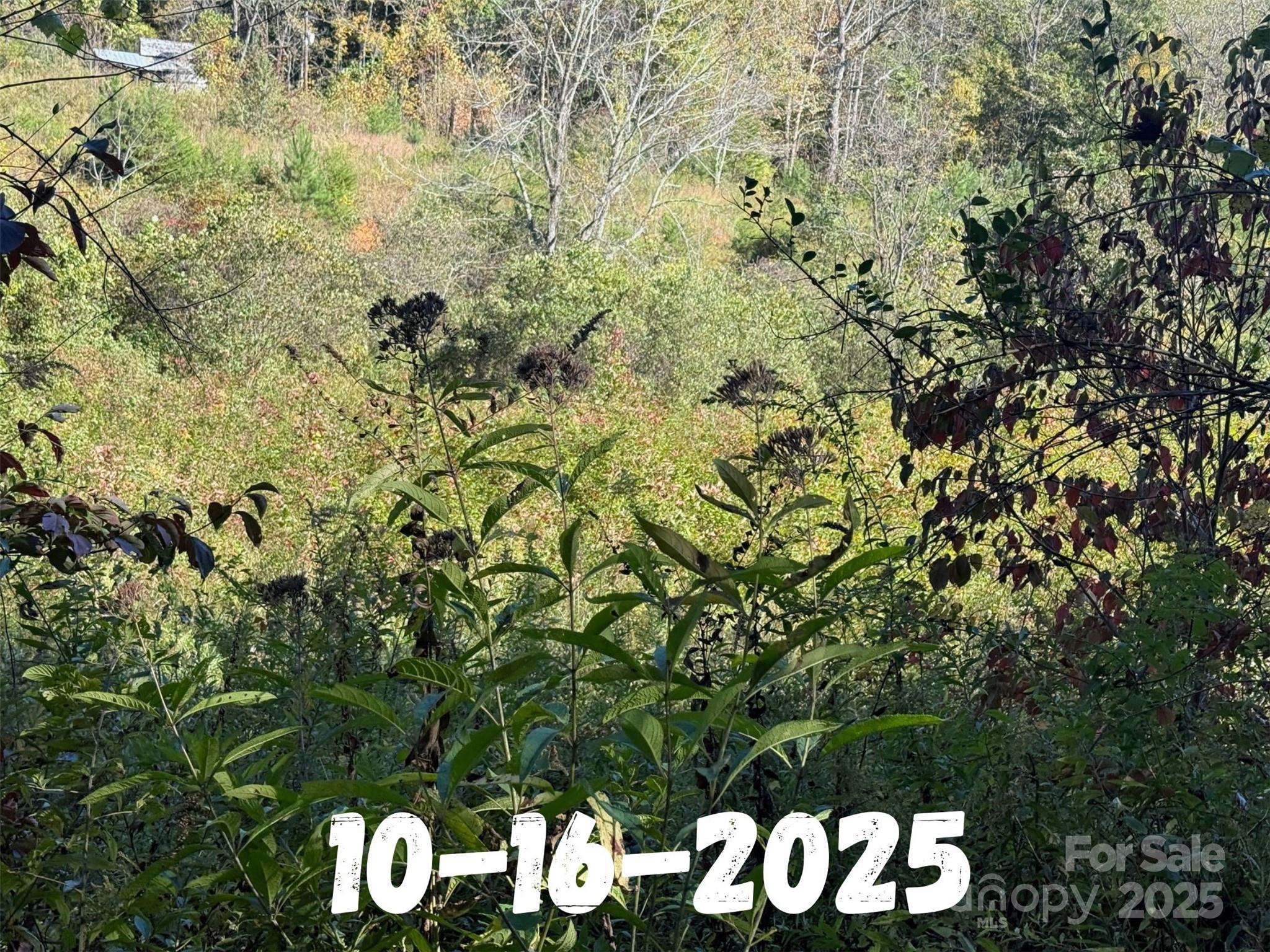 8361 Old Fort Sugar Hill Road Marion, NC 28752 - Photo 17 of 20 a view of sign board
