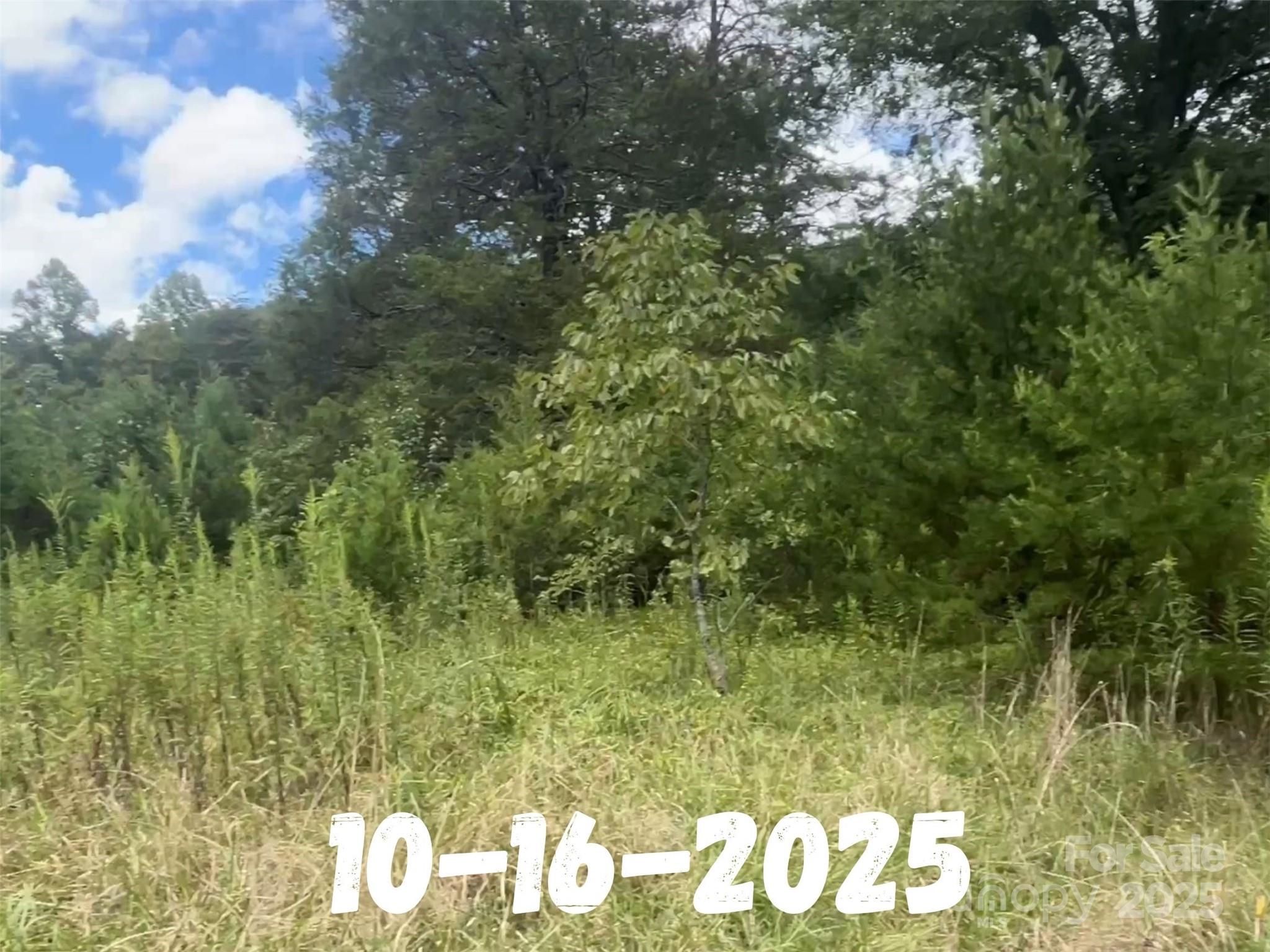 8361 Old Fort Sugar Hill Road Marion, NC 28752 - Photo 18 of 20 a view of a bunch of trees and bushes