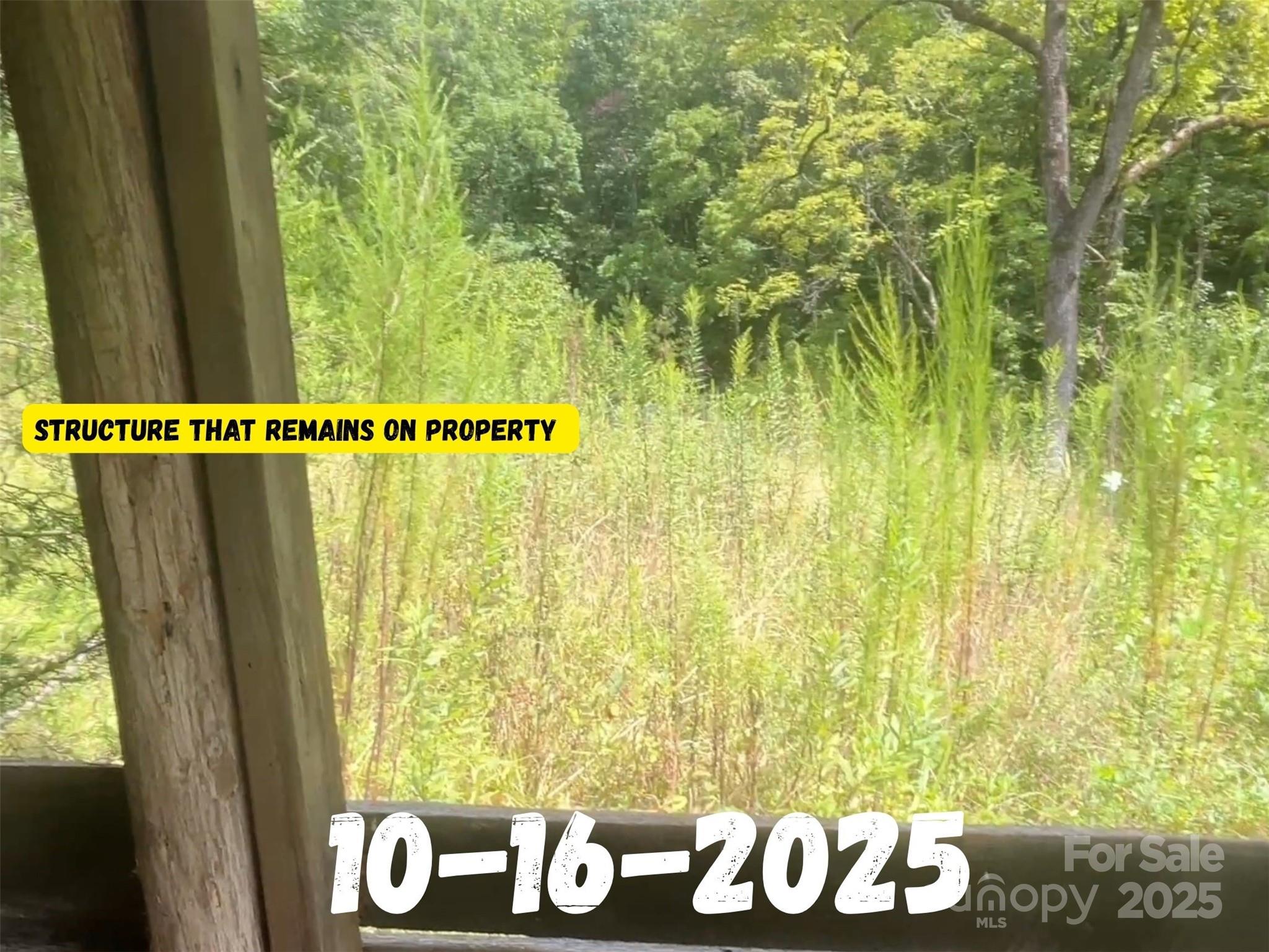 8361 Old Fort Sugar Hill Road Marion, NC 28752 - Photo 19 of 20 a view of a window