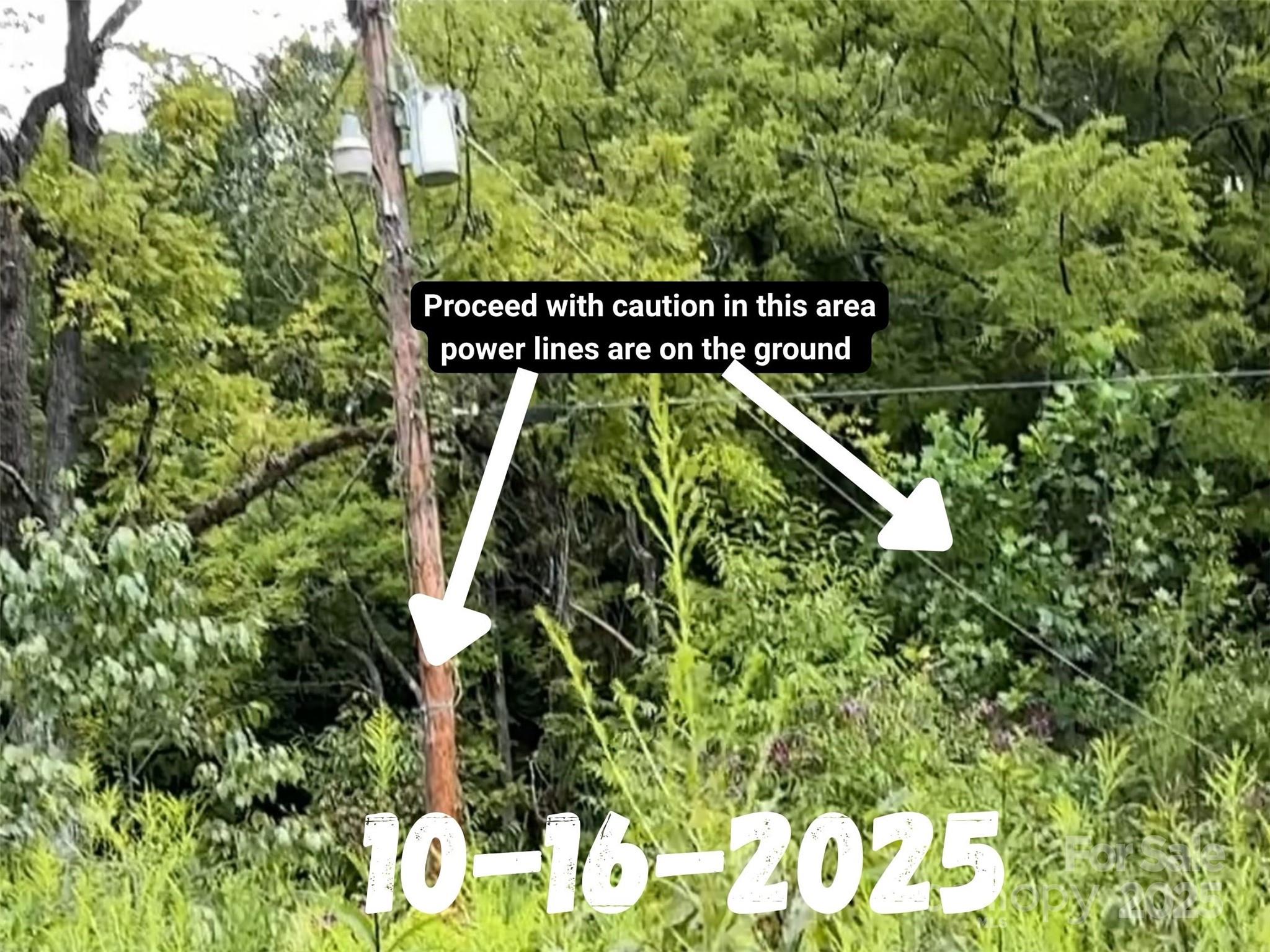 8361 Old Fort Sugar Hill Road Marion, NC 28752 - Photo 20 of 20 a view of swimming pool with a garden