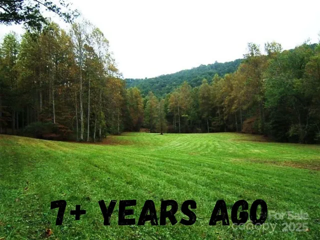 a view of a back yard